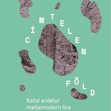 Címtelen föld: fiatal erdélyi metamodern költészet