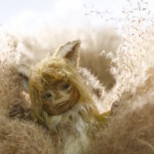 Öt rendezői interjú érhető el a Japán Filmfesztivál kísérőprogramjai között