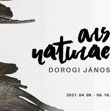 Dorogi János kiállítása a Műcsarnokban