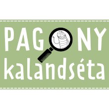 Hová tűnt Lebegényi Lebéd repülője?