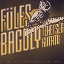 Fülesbagoly tehetségkutató – Budapest 2021