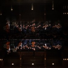 Több fesztiválon is fellép a Liszt Ferenc Kamarazenekar