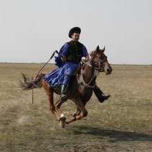 Hajszra és cselőre – dokumentumfilm a moziban