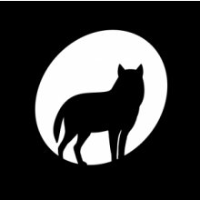 Magyar filmek a fókuszban a Tallinn Black Nights Filmfesztiválon