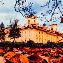 Herbstgold Fesztivál Kismartonban