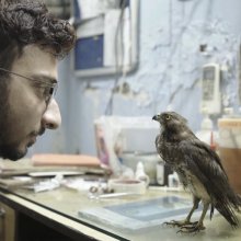 Égető témák a 19. Verzió Filmfesztiválon