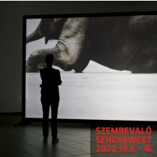 Tizenegy német filmet láthat a közönség a ma kezdődő 11. Szemrevaló Filmfesztiválon