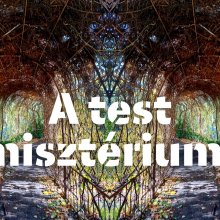 A test misztériuma premier a Cipolla Collectiva előadásában