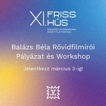 Határidőhöz érkezett a pályázat: forgatókönyvírókat keres a Friss Hús csapata