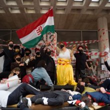 Érzékenység, társadalmi szerepek és a természet rekonstrukciója mint politikai aktus