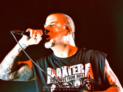 A Vulgar Display of Pantera