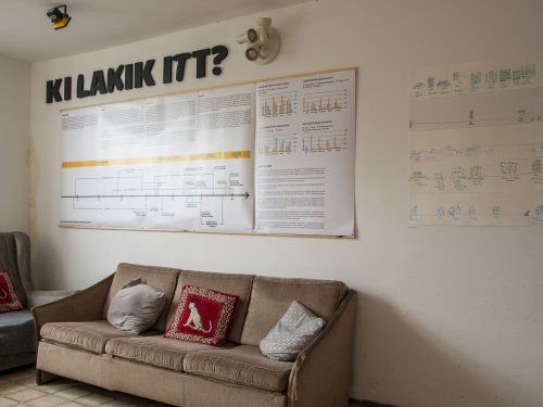 A rajz mint gondolkodási forma