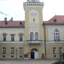 Szolidaritási nyilatkozat szerbiai irodalmi fesztiválokkal