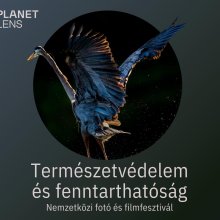 Nemzetközi fotó- és filmfesztivál Veszprémben