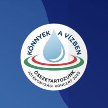 Szeptemberre halasztják Könnyek a vízben segélykoncertet