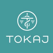 Hatvan pályázó százhúsz alkotást nyújtott be a Tokaj Mozaik Tervpályázatra