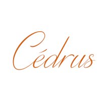 Versértelmező pályázatot hirdet a Cédrus Művészeti Alapítvány