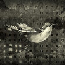 Országszerte mozikban a Capriccio