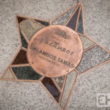 Galambos Tamás festőművész is „egri csillag” lett