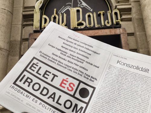 Szabadon engedni