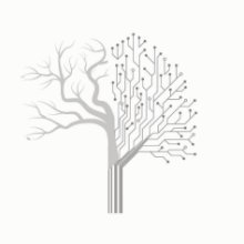 Előrendelhető Szabó István Zoltán monográfiája, a Neuromancia