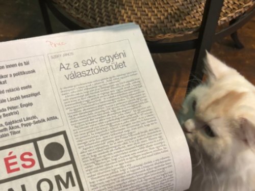 Mélységes mély a múltnak kútja