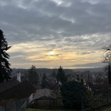 Írni szabadság és kaland