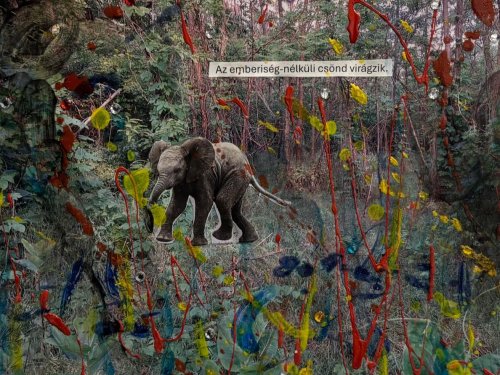 A szent tűzözön regéi