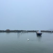 Gazdagon megterített asztal