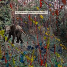 A szent tűzözön regéi