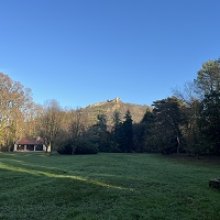 Krasznahorkai születésnapi bulija