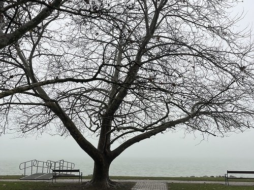 „Szeretek eltűnni”