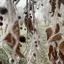 Attila József: Inverno