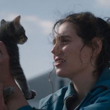 Trauma, humorral tálalva