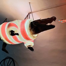 Először mindig a külvárosba menjetek