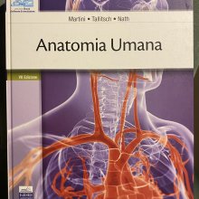 Le poesie sono scritte dagli sciocchi come me