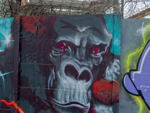 Az időutazás narkotikuma