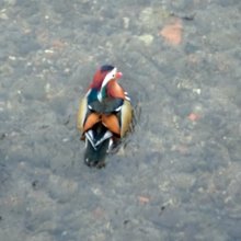 Az időutazás narkotikuma