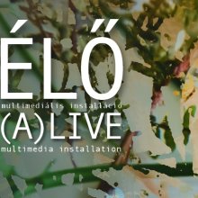 Jön blanche the vidiot kiállítása