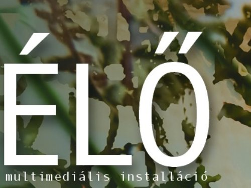 Jön blanche the vidiot kiállítása