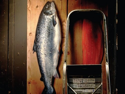 Már a boltokban Méhes Károly új verseskönyve