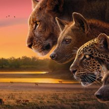 Trónok harca a vadonban