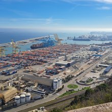 Kőből nőtt organizmusok, ágyúk és narancsfák