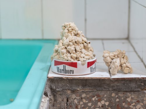 Virágzik a most...?