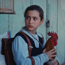 Egy tortasütő kislány és egy fantasztikus férfikórus