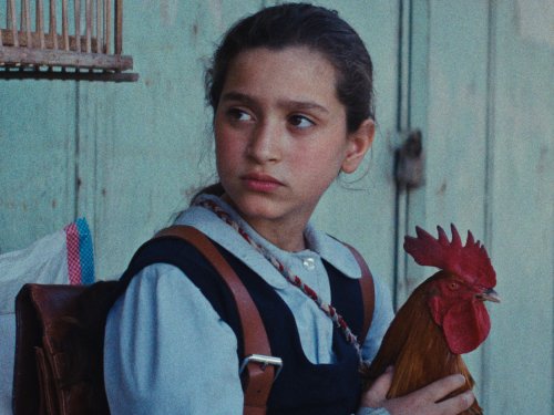 Egy tortasütő kislány és egy fantasztikus férfikórus