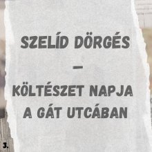 Költészet Napja a Gát utcában