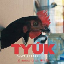 A mozikban Pálfi György új filmje, a Tyúk