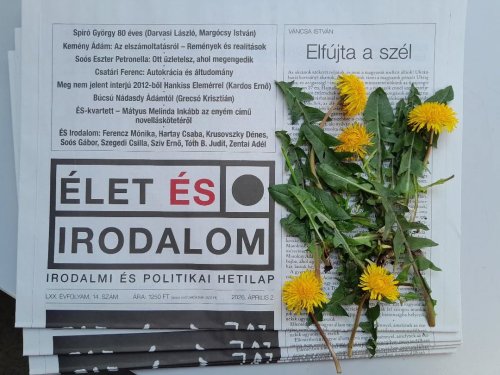 Álom és éber emlékezet