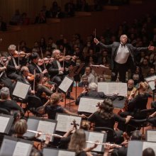 Alisa Meves lesz a BFZ művészeti igazgatója